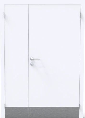 Дверь глухая двупольная — фото-679_1