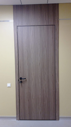 Дверь глухая однопольная — фото-636_6