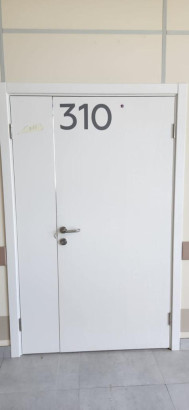 Дверь глухая двупольная — фото-636_3